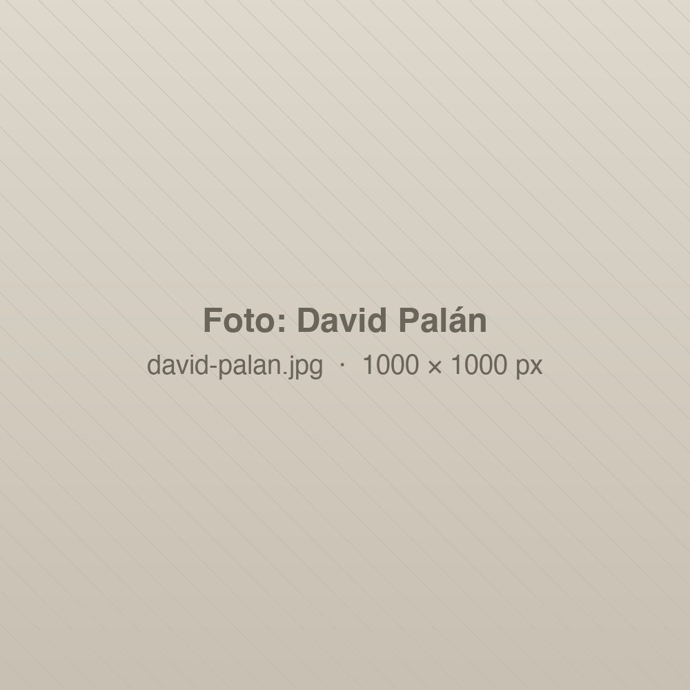 David Palán